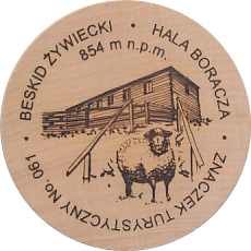 Beskid Żywiecki • Hala Boracza • 854 m n.p.m.